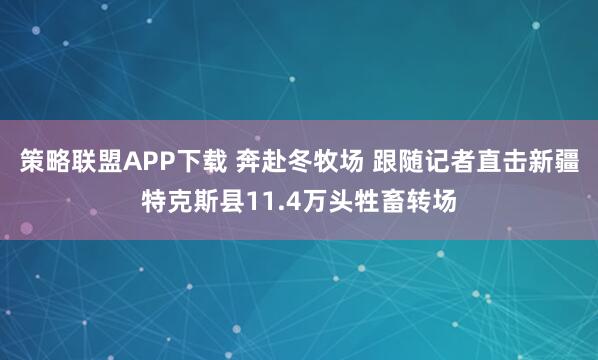 策略联盟APP下载 奔赴冬牧场 跟随记者直击新疆特克斯县11.4万头牲畜转场