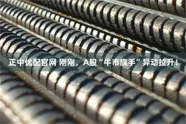 正中优配官网 刚刚,A股“牛市旗手”异动拉升!