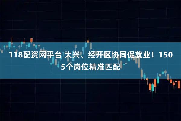 118配资网平台 大兴、经开区协同促就业！1505个岗位精准匹配