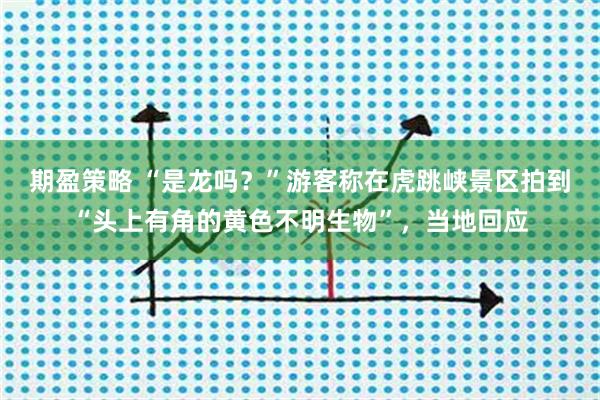 期盈策略 “是龙吗？”游客称在虎跳峡景区拍到“头上有角的黄色不明生物”，当地回应