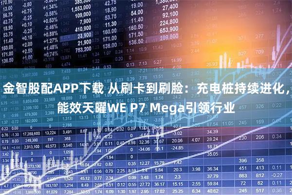 金智股配APP下载 从刷卡到刷脸：充电桩持续进化，能效天曜WE P7 Mega引领行业