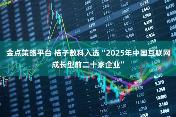 金点策略平台 桔子数科入选“2025年中国互联网成长型前二十家企业”