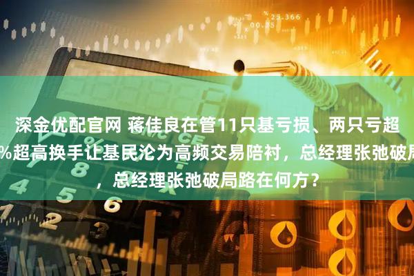 深金优配官网 蒋佳良在管11只基亏损、两只亏超50%，529%超高换手让基民沦为高频交易陪衬，总经理张弛破局路在何方？