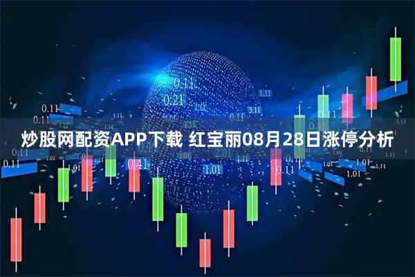 炒股网配资APP下载 红宝丽08月28日涨停分析
